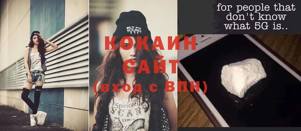 гидра Верхний Тагил