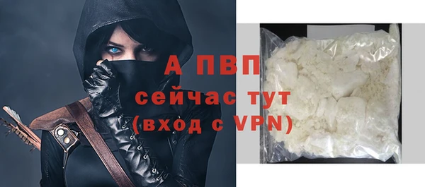гидра Верхний Тагил