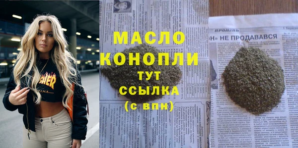 гидра Верхний Тагил