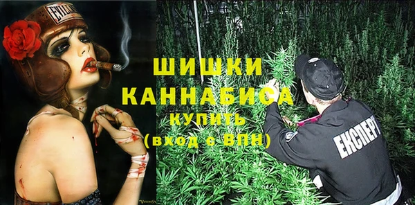 гидра Верхний Тагил