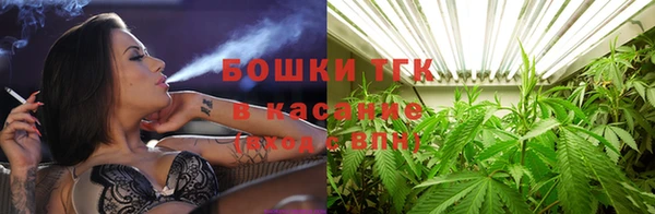 гидра Верхний Тагил