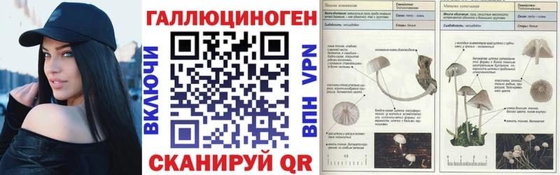 Галлюциногенные грибы Magic Shrooms  Вичуга 