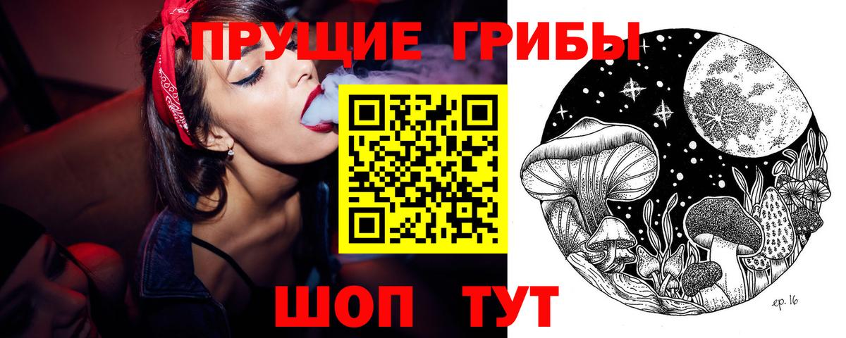 Псилоцибиновые грибы Cubensis  Вход с VPN  Галлюциногенные грибы мухоморы  Вичуга 