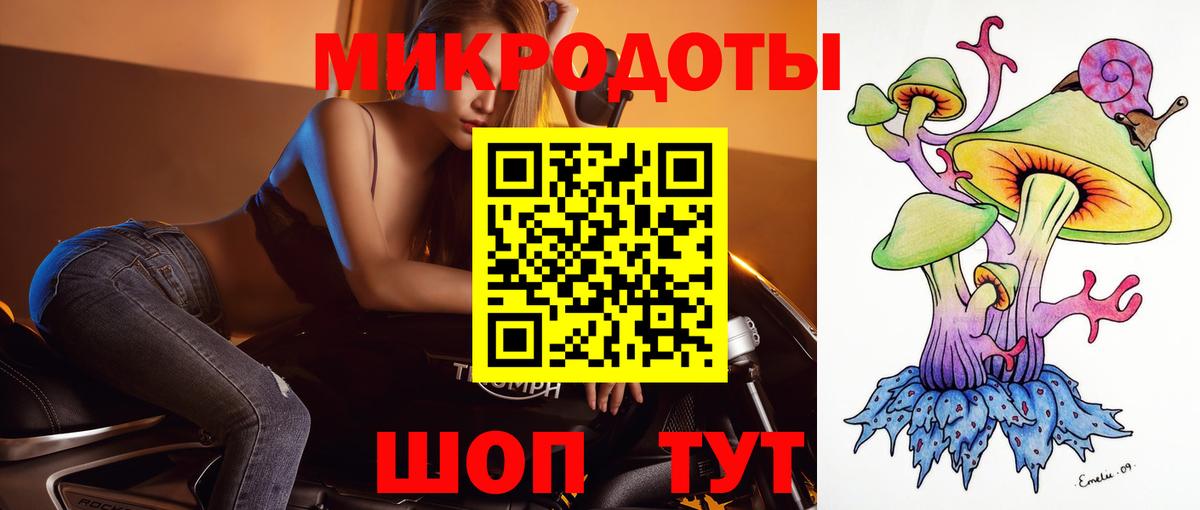 Псилоцибиновые грибы Psilocybine cubensis Вичуга