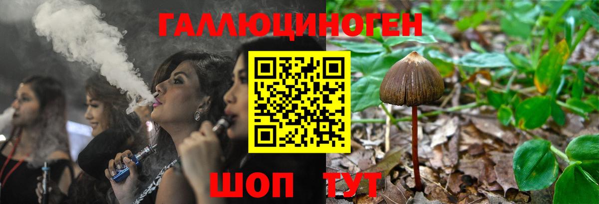 Галлюциногенные грибы GOLDEN TEACHER  Вичуга 